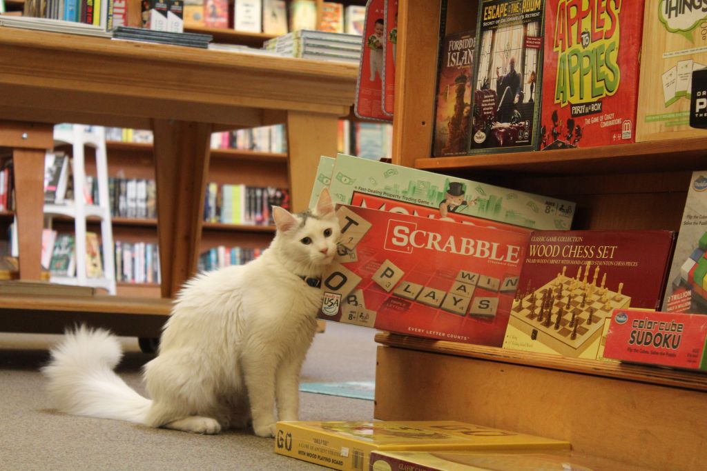 Copperfield's Books cats